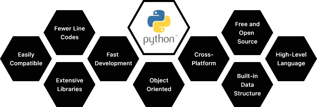 Python Work Process