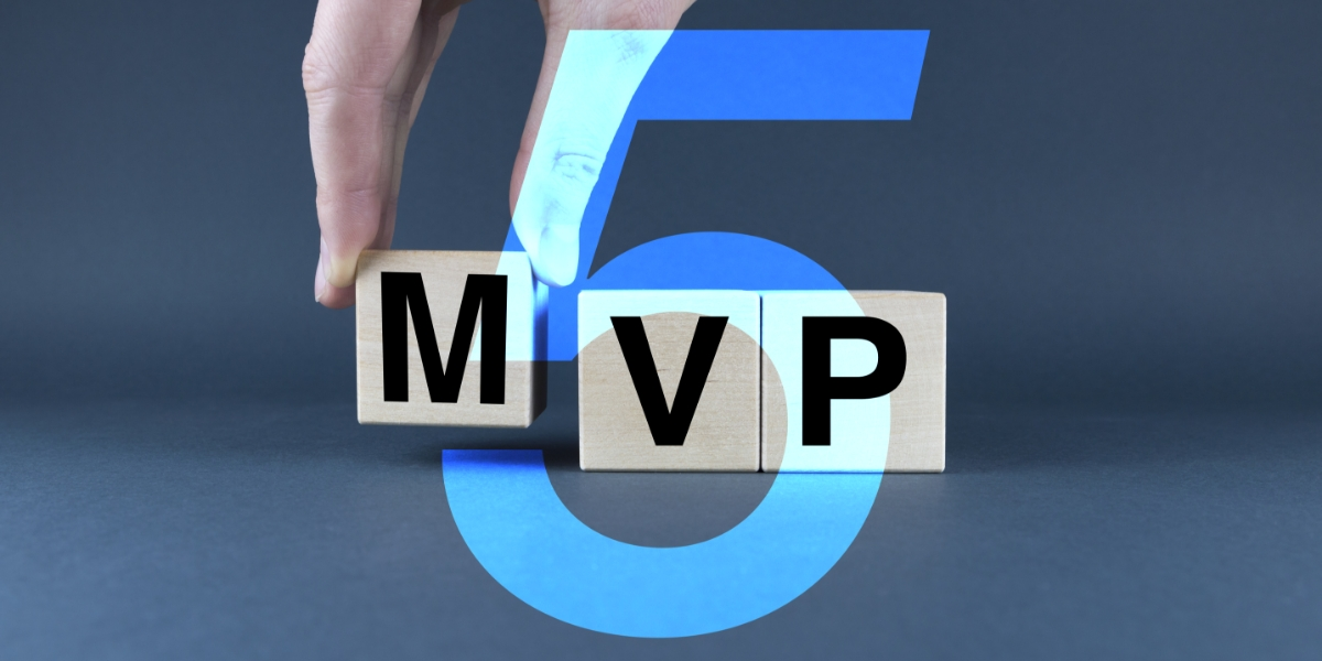 Top 5 Reasons Why You Need MVP Before Starting custom software application development